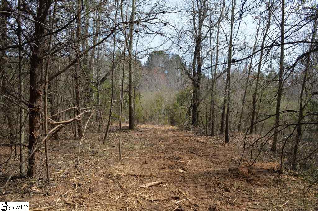 Store Road Easley, SC 29640 - Photo 10 of 22