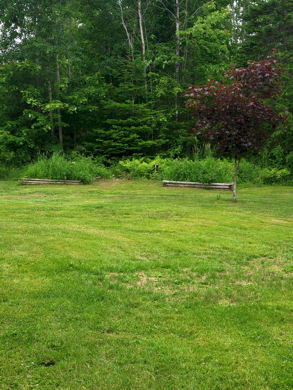 10 Longley Road Madison, ME 04950 - Photo 30 of 45 20190625_141843