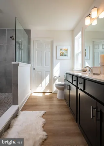 a bathroom with a double vanity sink a toilet and shower