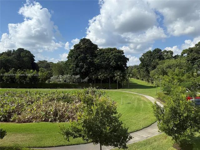 a view of a big yard with a large trees