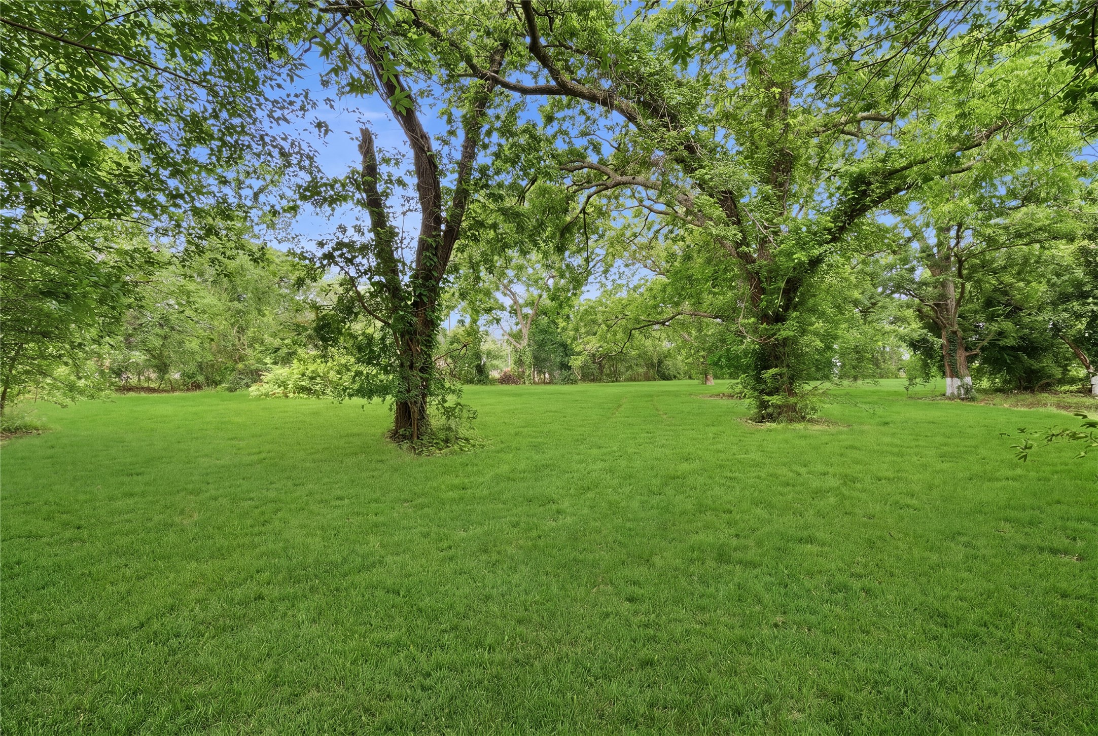 101 Outlar Street Wharton, TX 77488 - Photo 22 of 40 a view of green field with trees