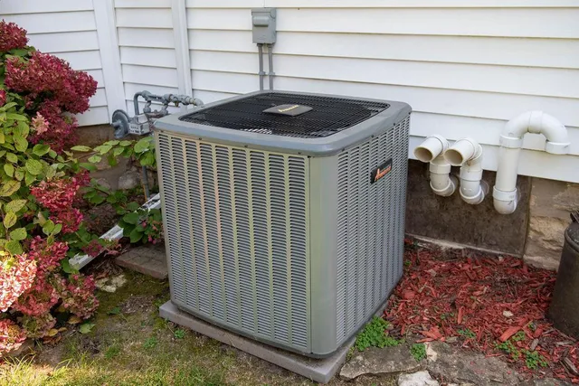 $365,000 | 114 Fillmore Street East, Wykoff, MN 55990