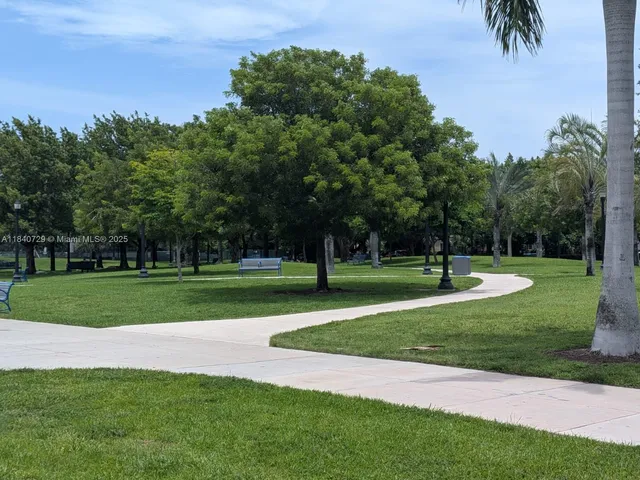 a view of a park with tree s