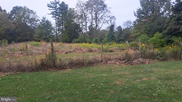 a view of a garden from a window