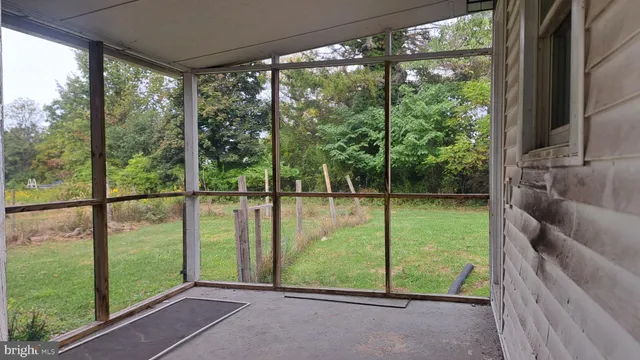 a view of a park with a tree