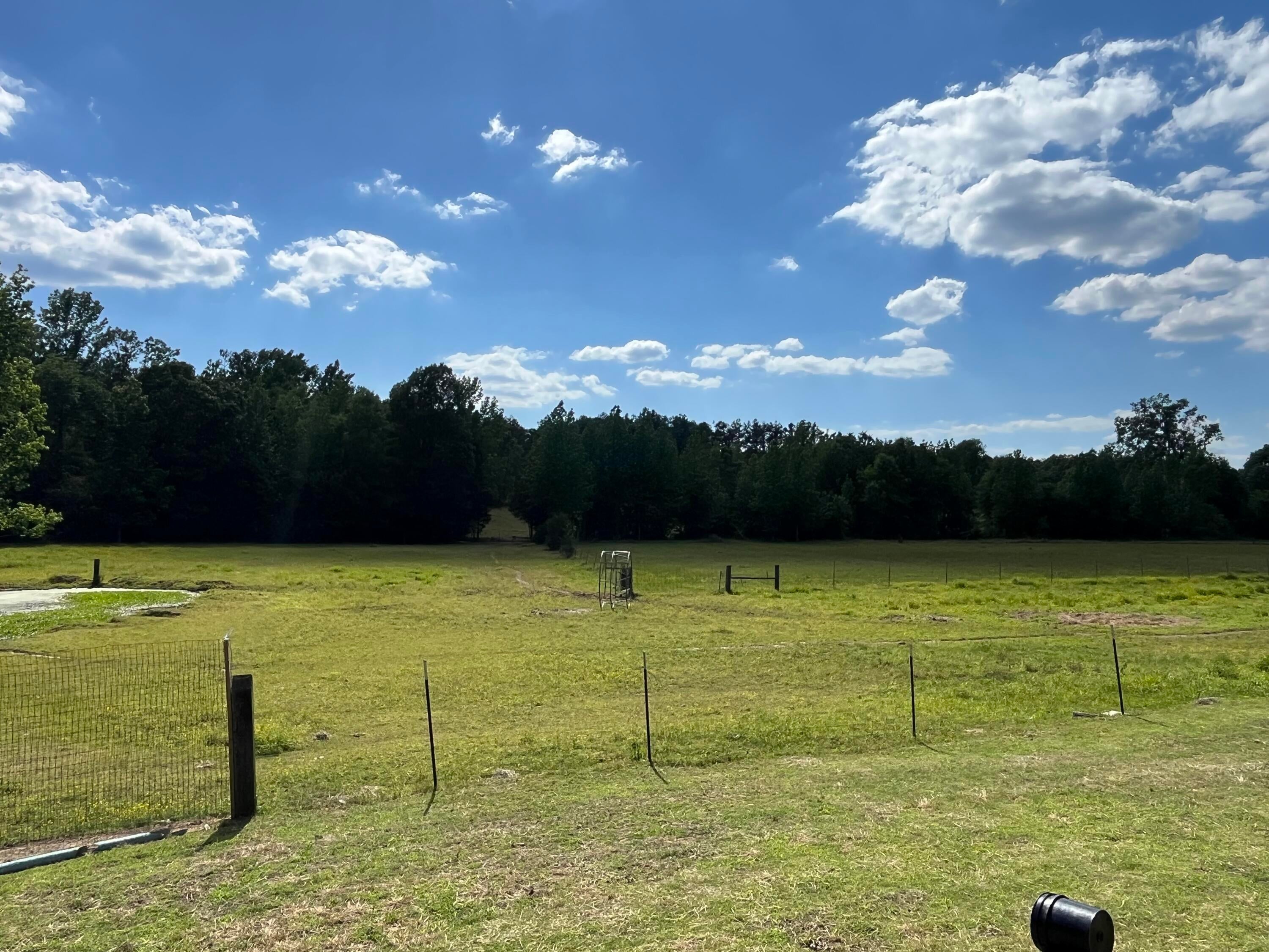 1196 Houpt Road Pontotoc, MS 38863 - Photo 8 of 23 Gallery Image 8