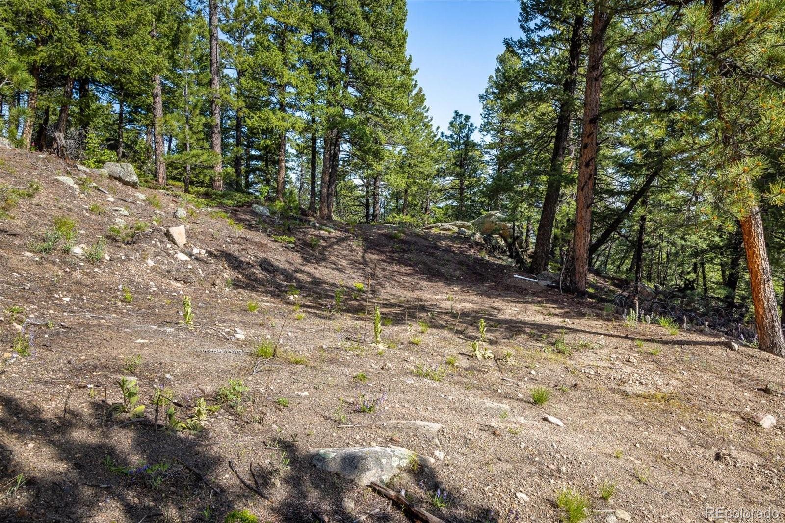 464 Chute Road Golden, CO 80403 - Photo 20 of 30 Gallery Image 20