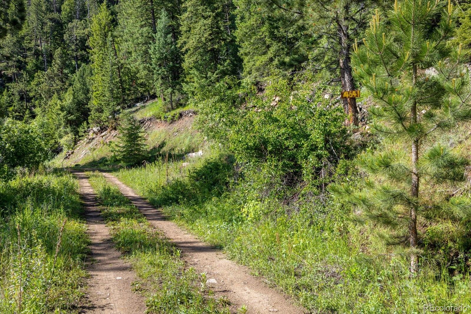 464 Chute Road Golden, CO 80403 - Photo 5 of 30 Gallery Image 5