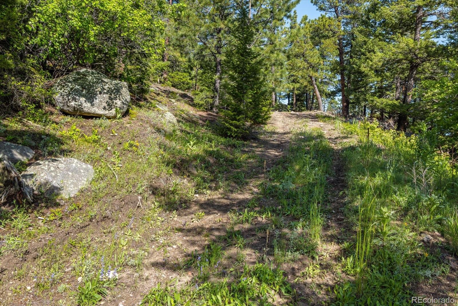 464 Chute Road Golden, CO 80403 - Photo 7 of 30 Gallery Image 7