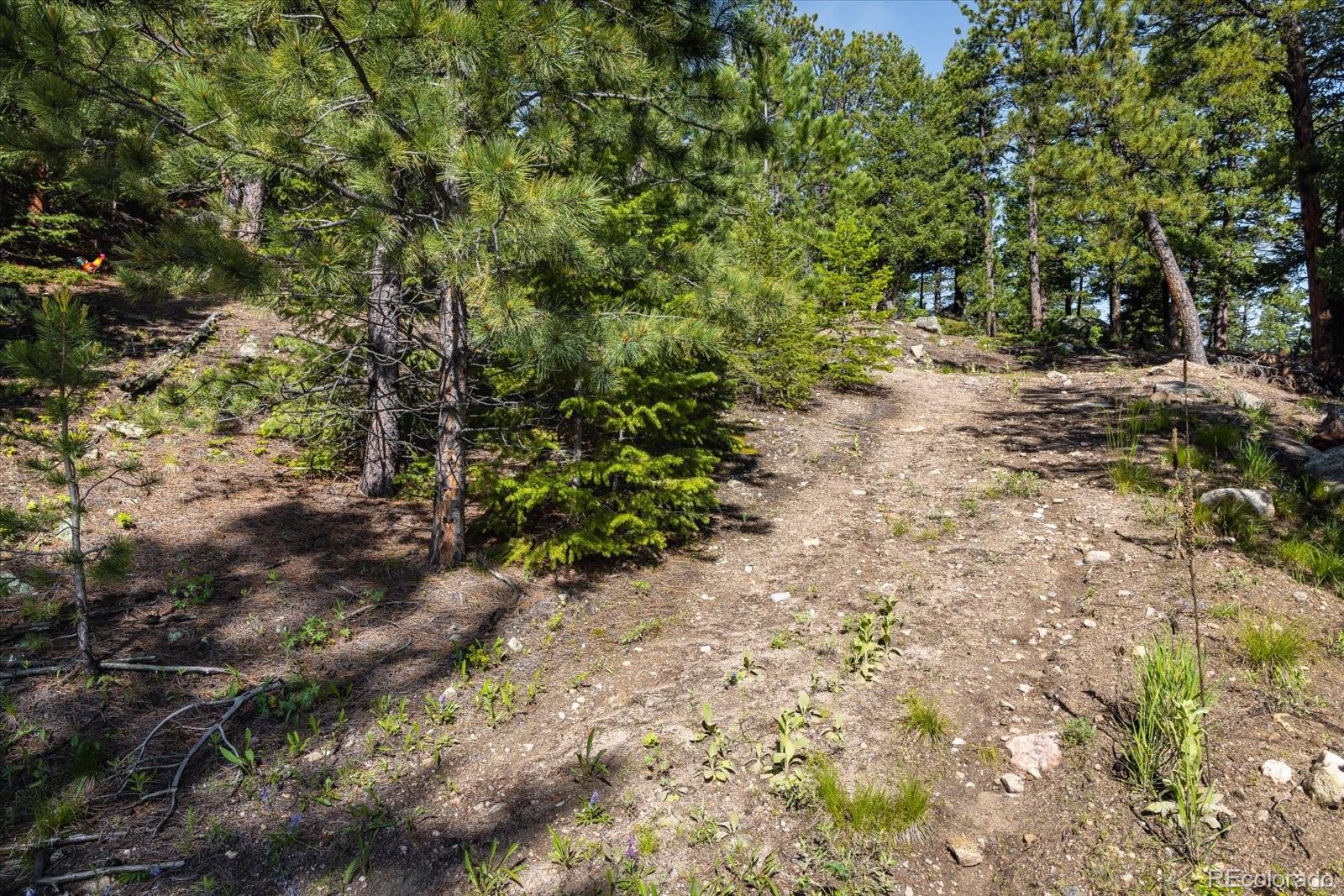 464 Chute Road Golden, CO 80403 - Photo 8 of 30 Gallery Image 8