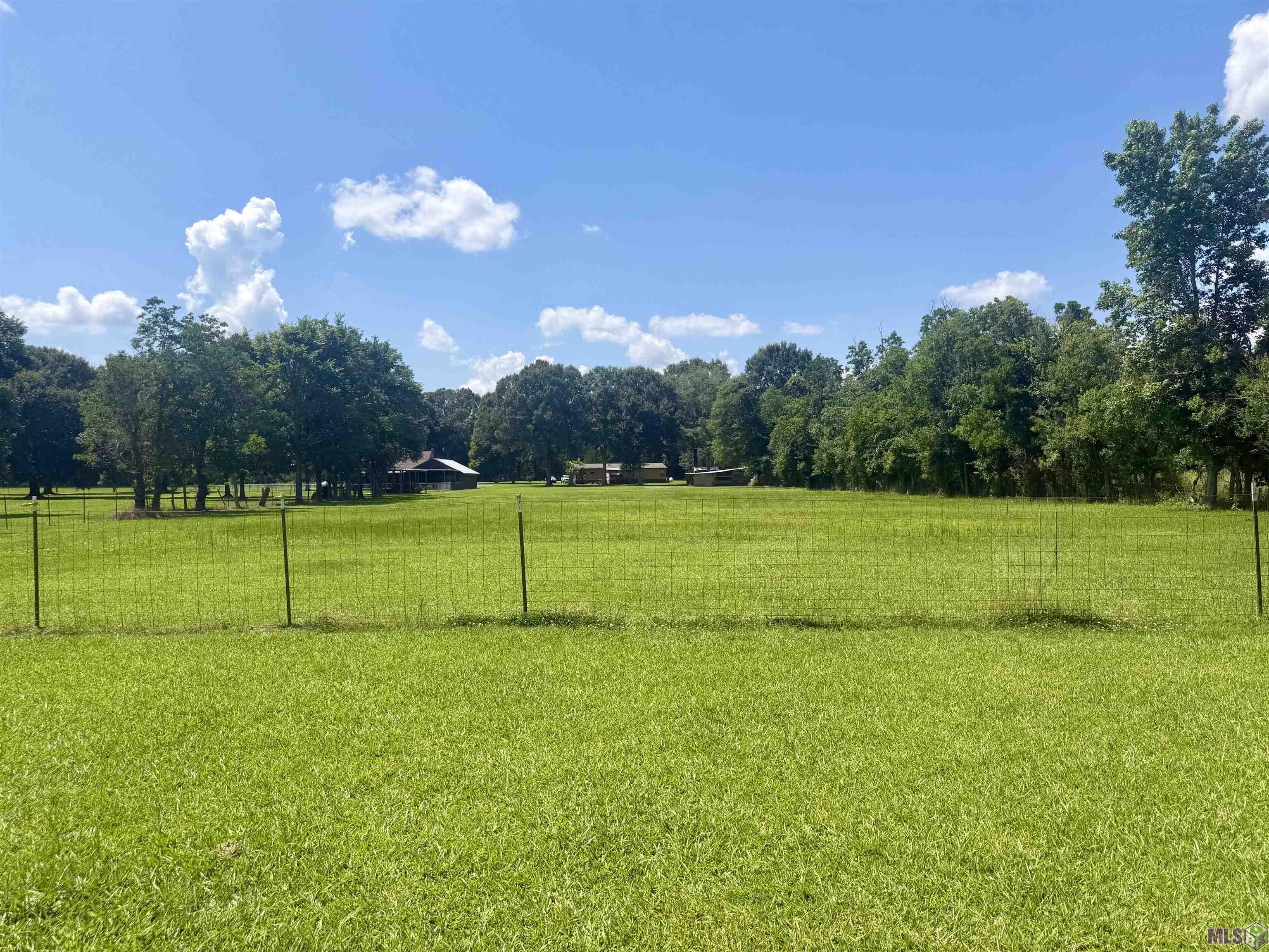 24632 Brian Road Zachary, LA 70791 - Photo 4 of 35