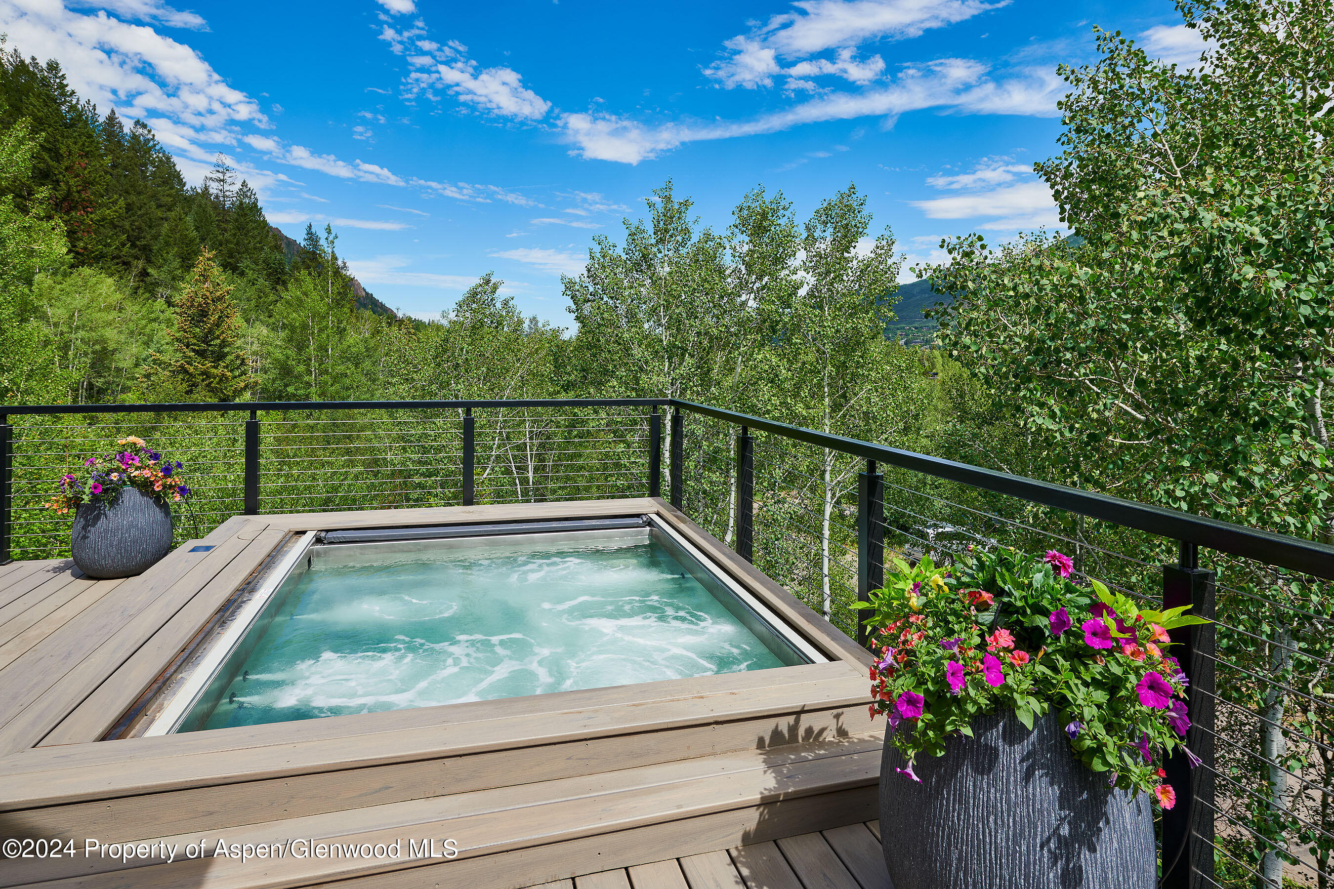 1271 Ute Avenue Aspen, CO 81611 - Photo 12 of 55 1271Ute_Summer_07_WEB