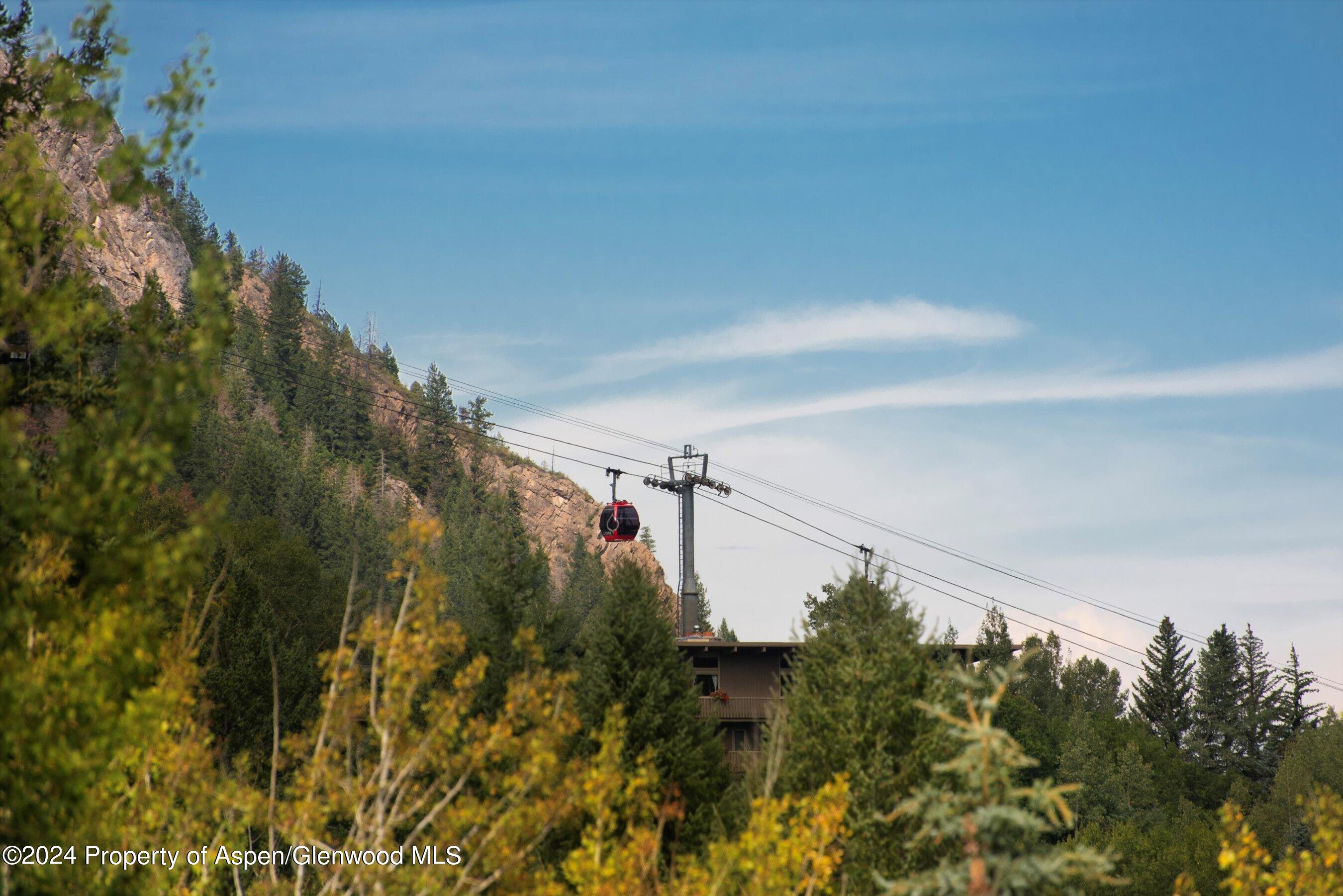 1271 Ute Avenue Aspen, CO 81611 - Photo 15 of 55 19-1271UteAve_240911019