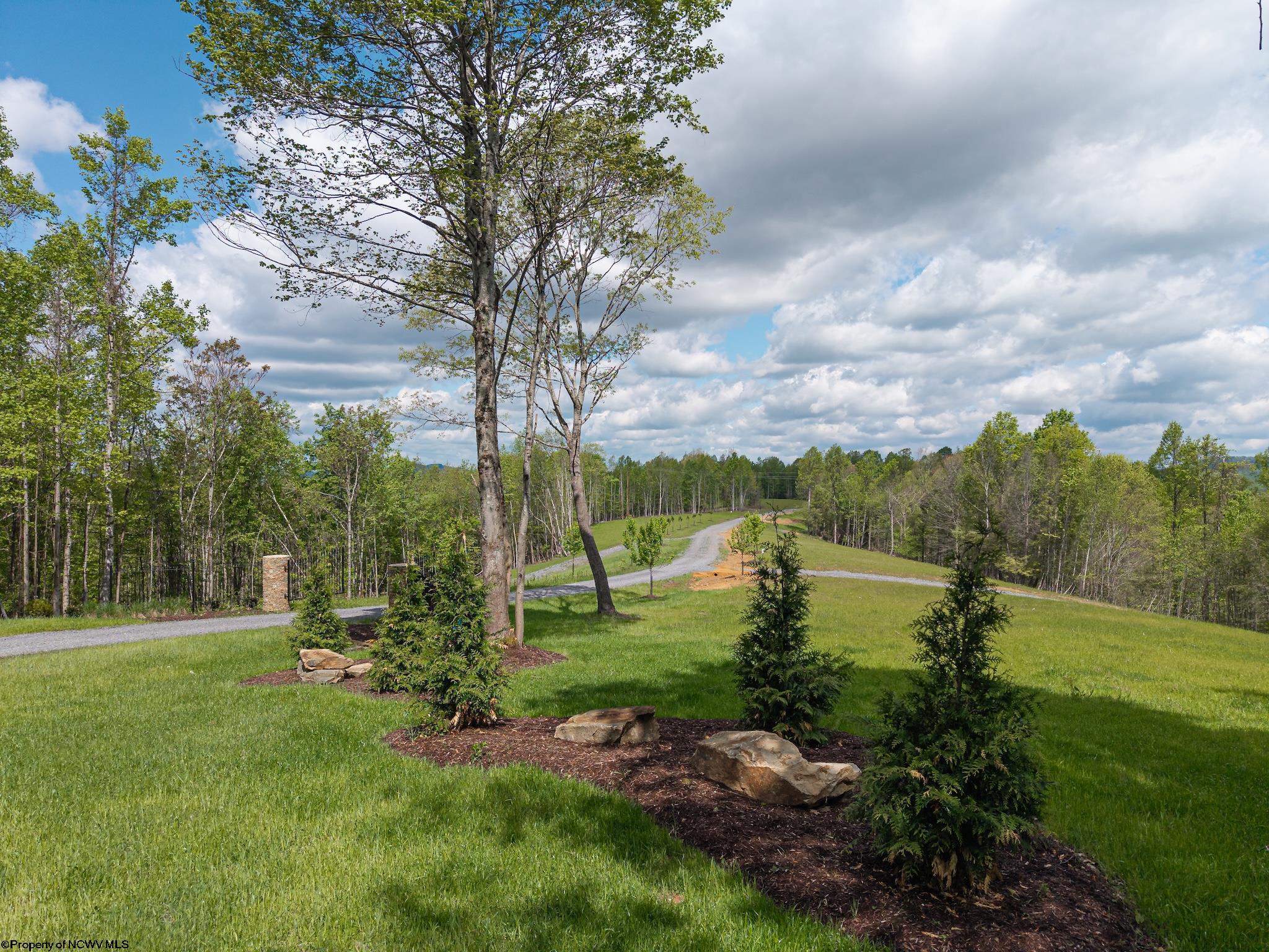 Lot 1 Gauley Ridge Mount Mount Nebo, WV 26679 - Photo 11 of 15 Gallery Image 11