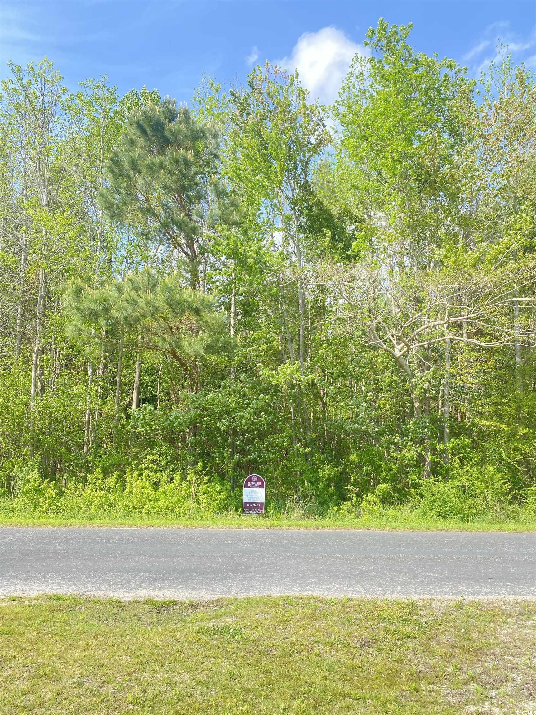 762 Highway 762 Loris, SC 29569 - Photo 1 of 2