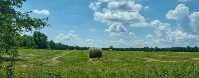 31-acres Veterans Road Salley, SC 29137 - Photo 1 of 2