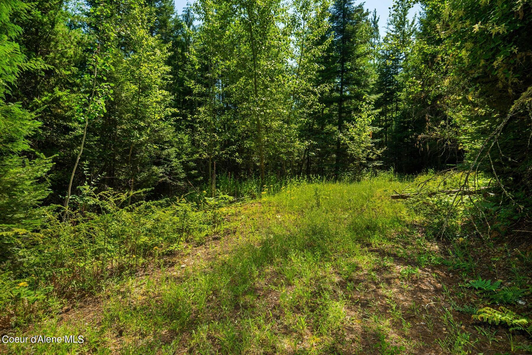 Nka Lower Pack River Road Sandpoint, ID 83864 - Photo 16 of 20 Clearing