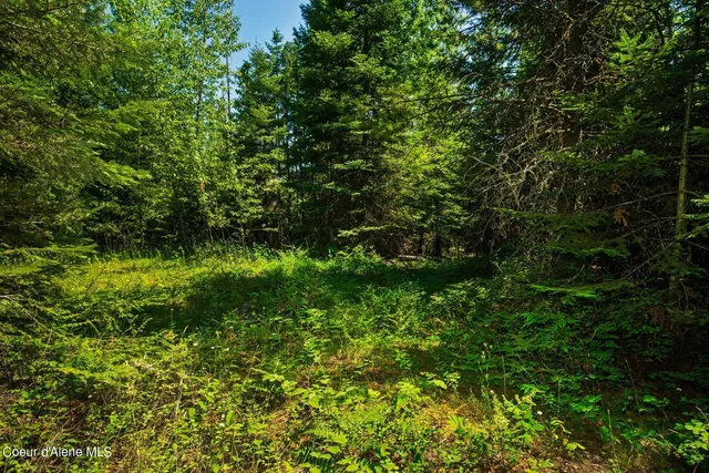 $280,000 | Nka Lower Pack River Road, Sandpoint, ID 83864