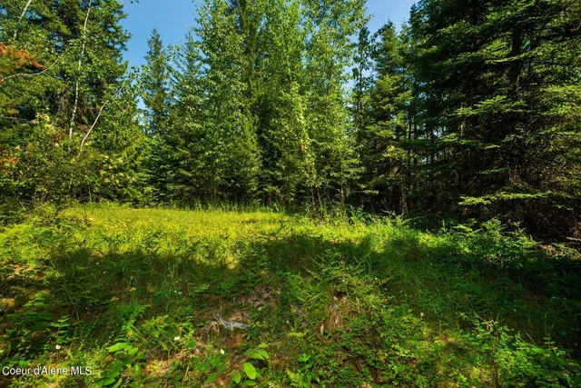 $280,000 | Nka Lower Pack River Road, Sandpoint, ID 83864