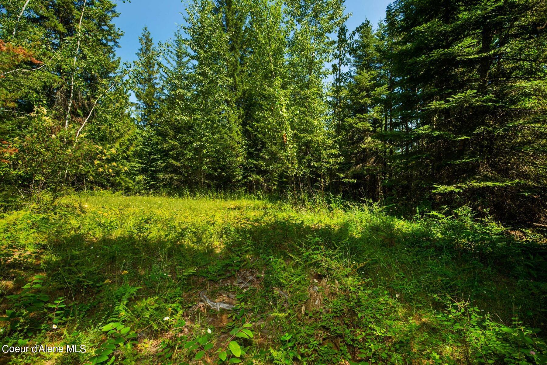 Nka Lower Pack River Road Sandpoint, ID 83864 - Photo 18 of 20 Lot Clearing