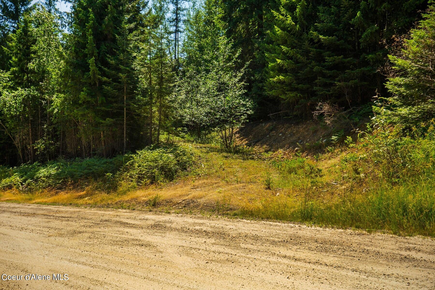 Nka Lower Pack River Road Sandpoint, ID 83864 - Photo 7 of 20 Roughed in Driveway