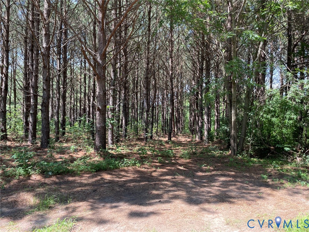 1 Deer Run Road Blackstone, VA 23824 - Photo 15 of 17