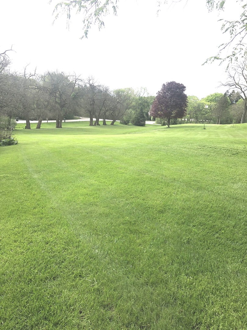 648 North Inverway Road Inverness, IL 60067 - Photo 8 of 11 a view of outdoor space with mountain view