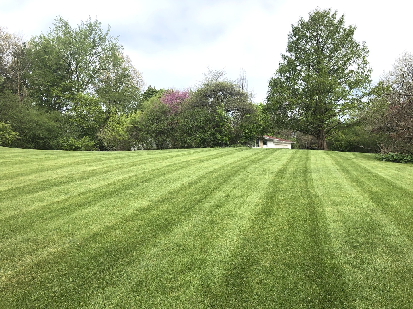 648 North Inverway Road Inverness, IL 60067 - Photo 10 of 11 a view of an outdoor space with a lake view