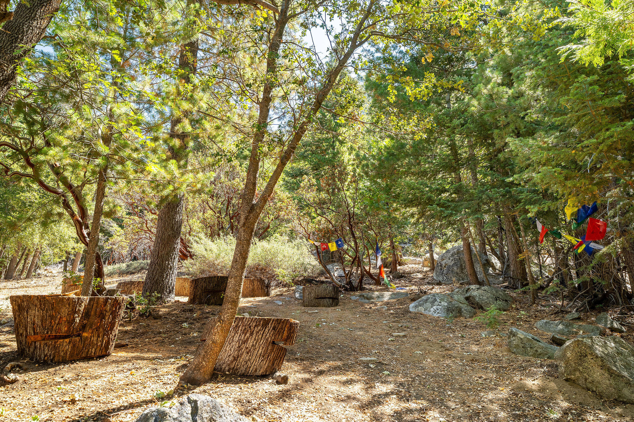 55599 Encino Road Idyllwild, CA 92549 - Photo 54 of 66 55599EncinoRd-62