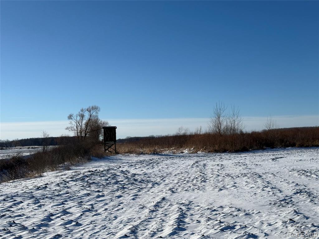 0 Miller Road Capac, MI 48014 - Photo 2 of 5