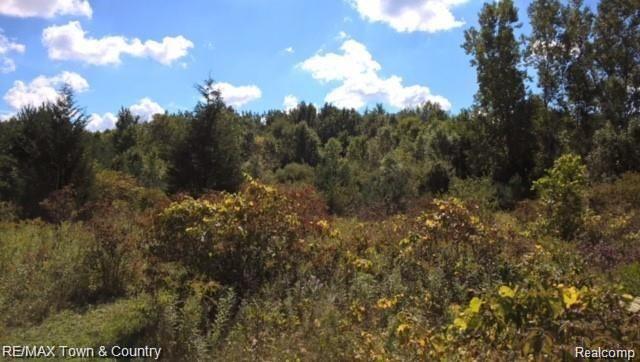0 West Coldwater Road Flushing, MI 48433 - Photo 11 of 17