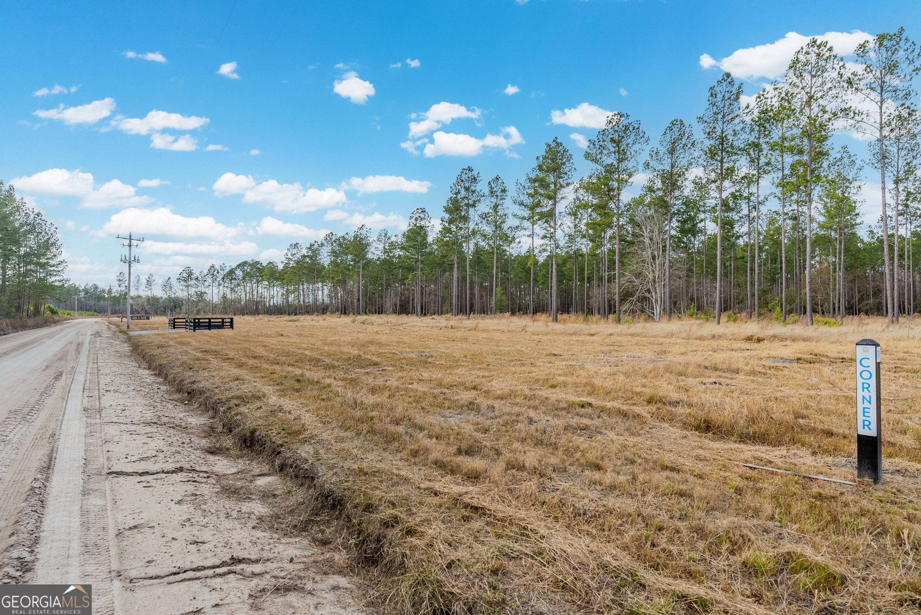 Lot 18 Lanes Church Road Brooklet, GA 30415 - Photo 2 of 3