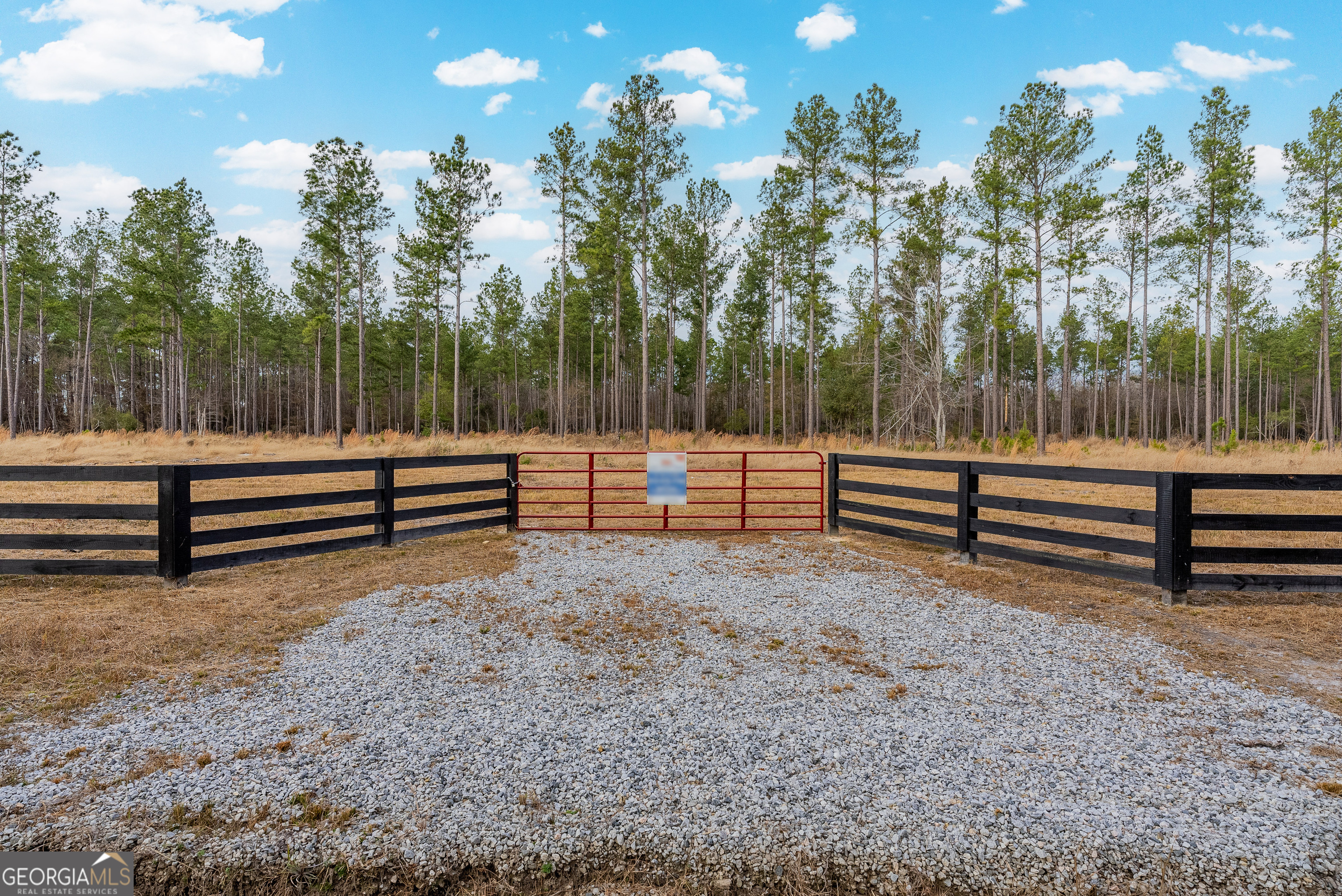 Lot 18 Lanes Church Road Brooklet, GA 30415 - Photo 3 of 3