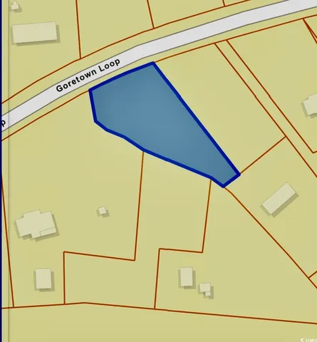 $60,000 | Lot 1 Goretown Loop, Loris, SC 29569