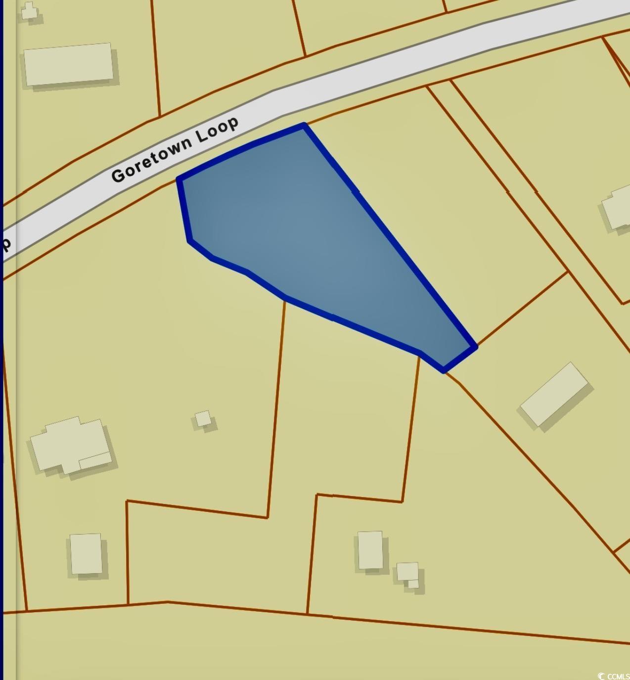 Lot 1 Goretown Loop Loris, SC 29569 - Photo 2 of 2 Map / location of property area