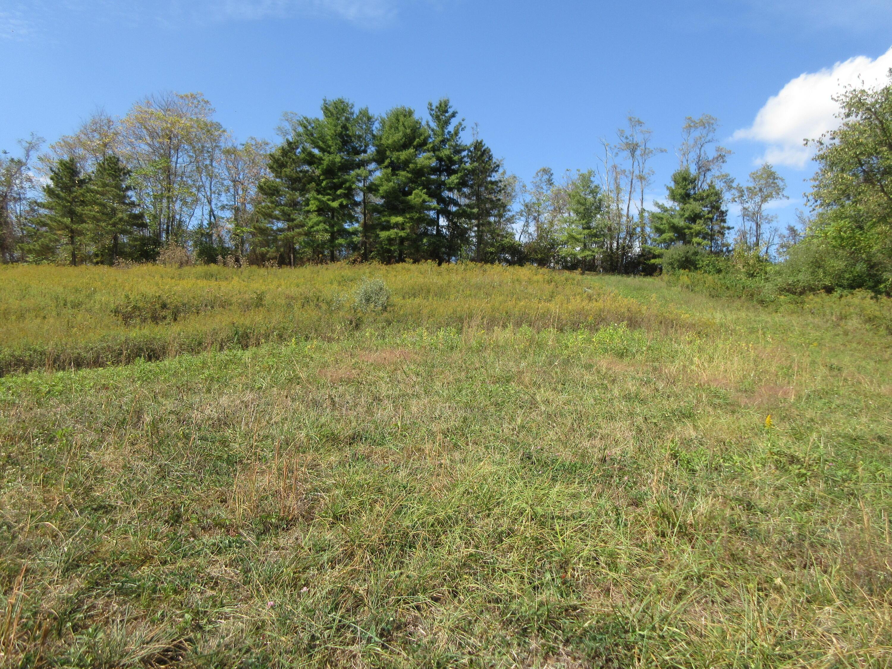 0 Vickers Road Marietta, OH 45750 - Photo 10 of 10