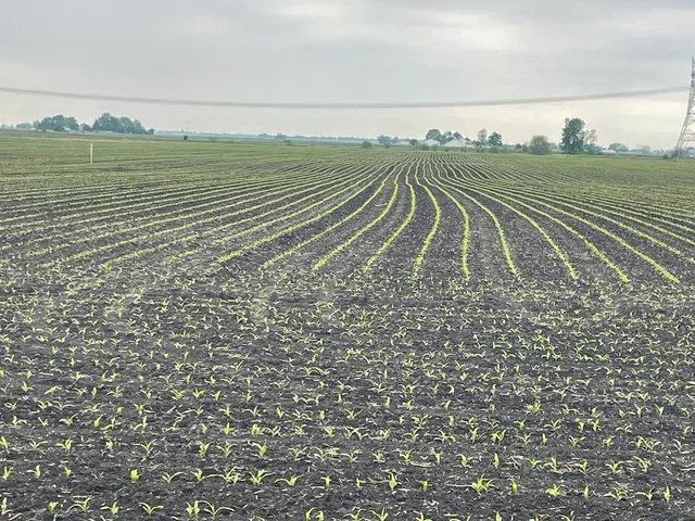 a view of a field with ocean view