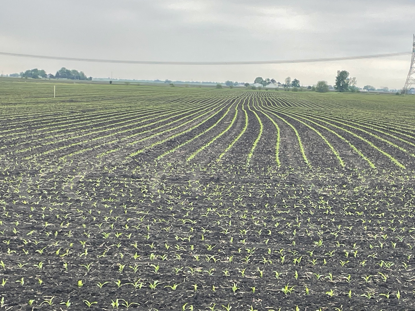 15781 Brisbin Road Minooka, IL 60447 - Photo 1 of 2 a view of a field with ocean view
