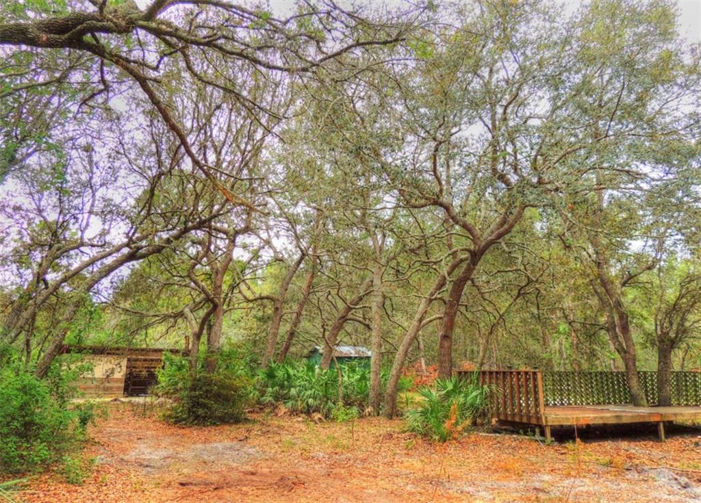 680 Still Road Pierson, FL 32180 - Photo 1 of 1 Gallery Image 1