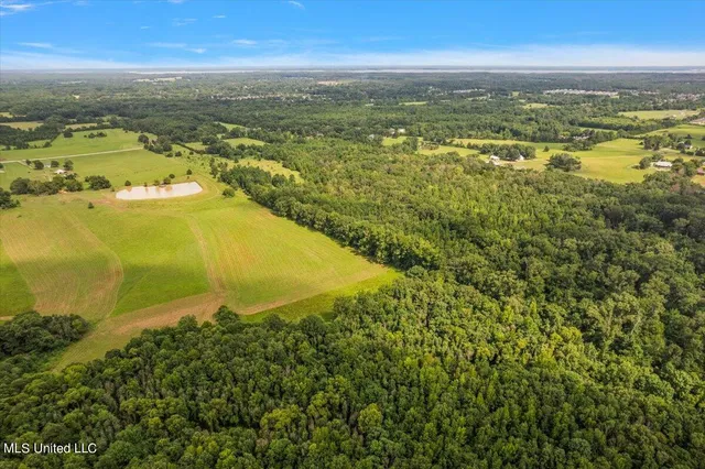 $265,000 | Smith-carr Rd Road, Canton, MS 39046