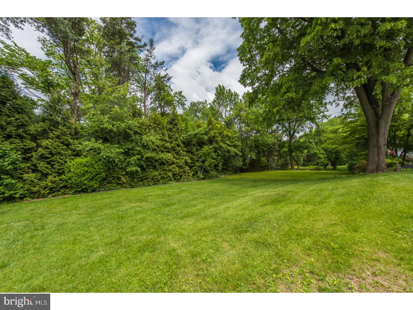 1446 Rydal Road Rydal, PA 19046 - Photo 2 of 22 Back Yard