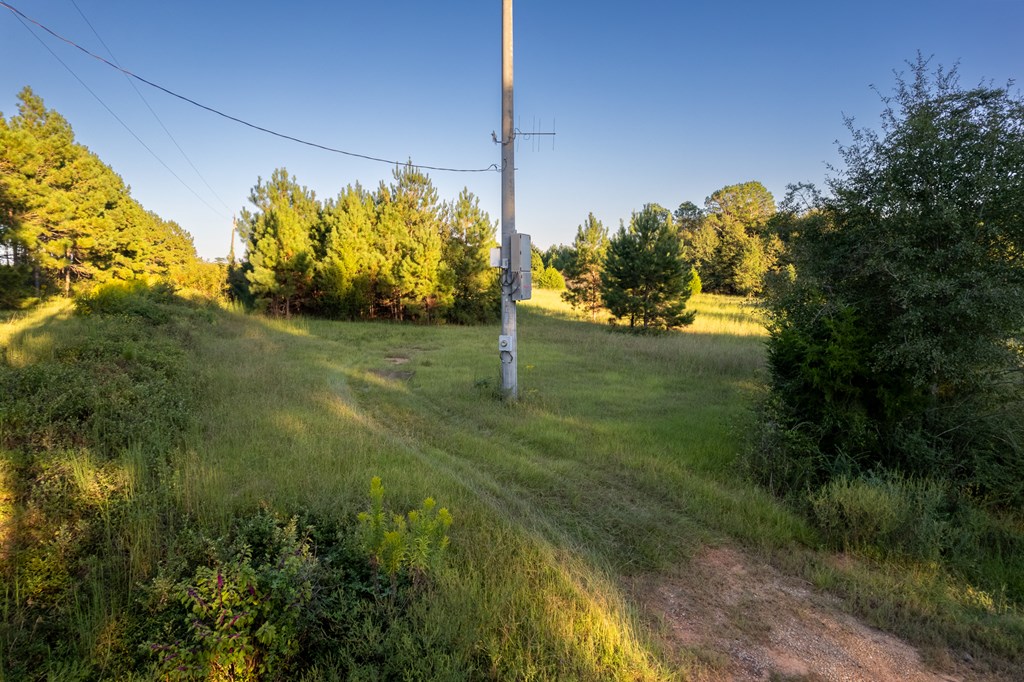 2226 Randall Wade Road Headland, AL 36345 - Photo 3 of 60