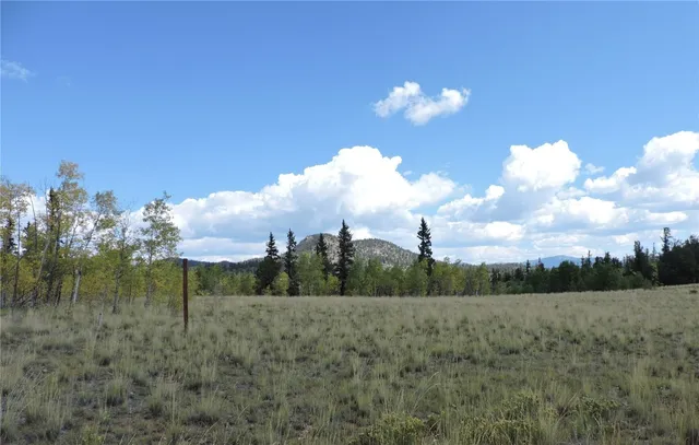 a view of a big yard with potted plants and big yard