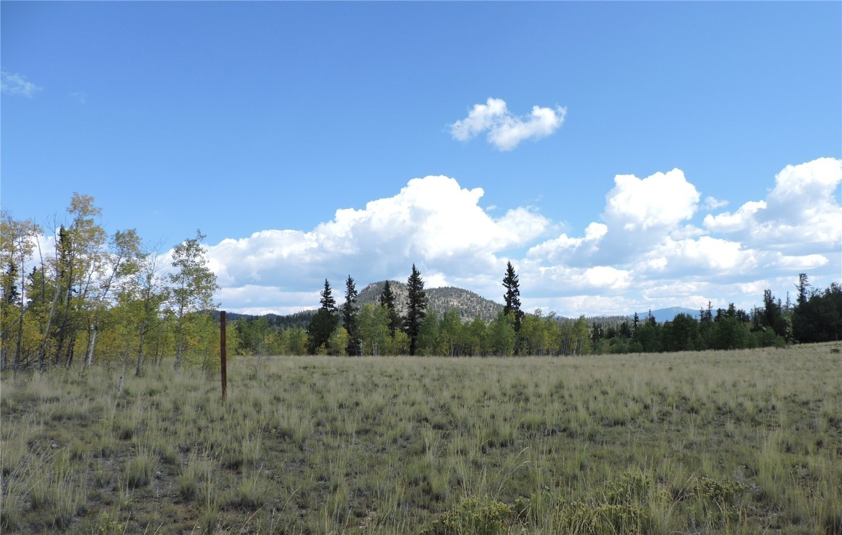 16 Buckshot Trail Como, CO 80432 - Photo 2 of 46 a view of a big yard with potted plants and big yard