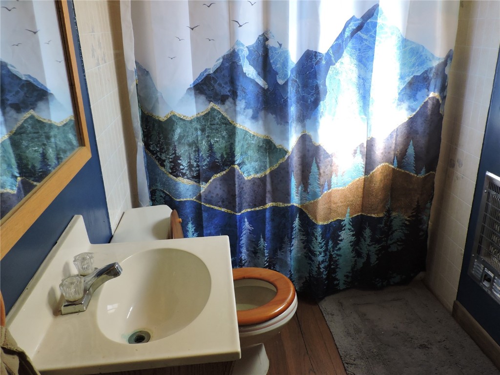 16 Buckshot Trail Como, CO 80432 - Photo 25 of 46 a bathroom with a toilet sink and mirror