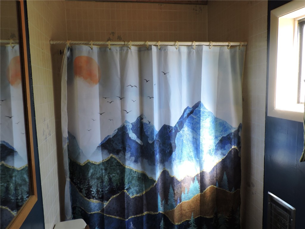 16 Buckshot Trail Como, CO 80432 - Photo 26 of 46 a view of closet with wooden floor