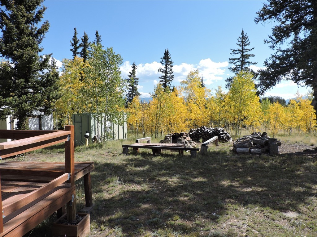 16 Buckshot Trail Como, CO 80432 - Photo 34 of 46 a view of a park with large trees