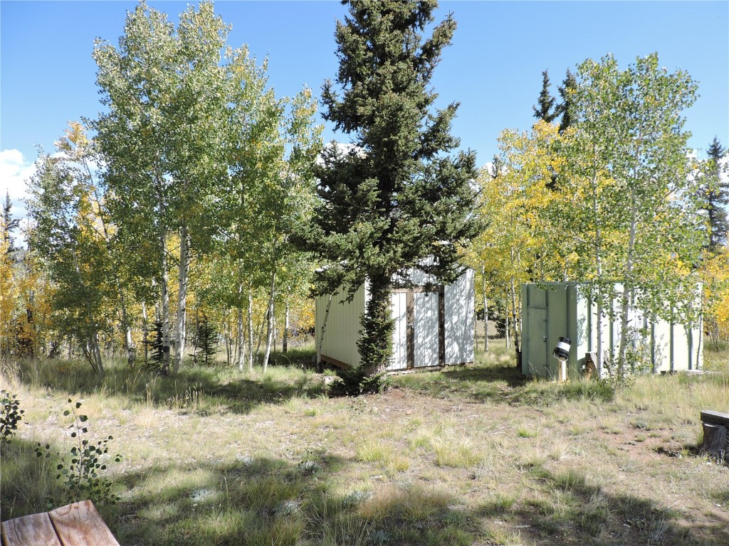 16 Buckshot Trail Como, CO 80432 - Photo 35 of 46 a backyard of a house with a tree