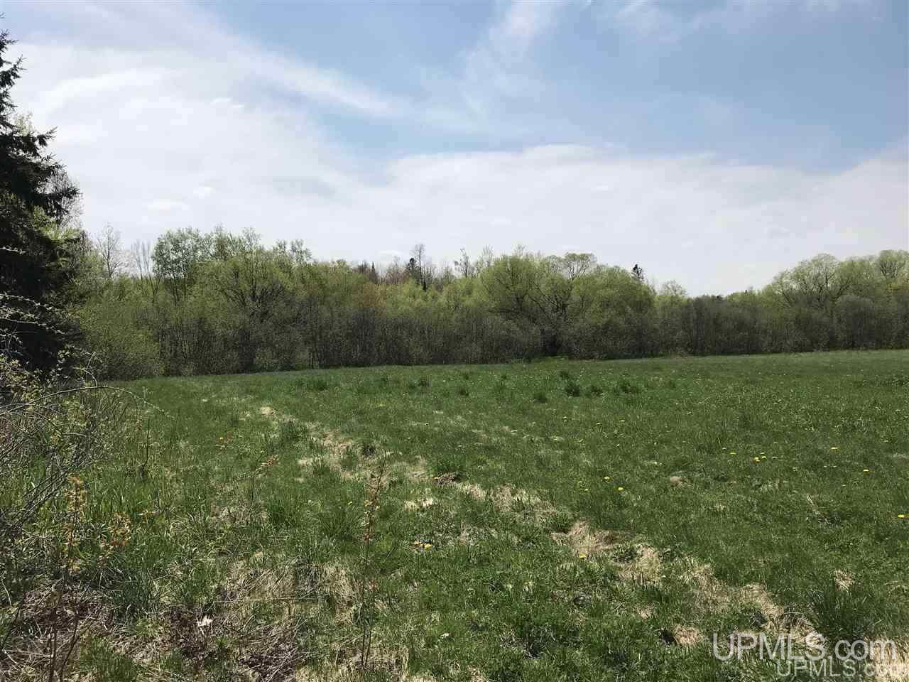 Tbd Harding Road Bessemer, MI 49911 - Photo 19 of 21