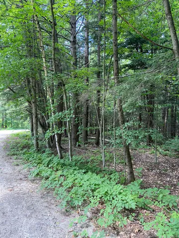 $119,000 | 0 Norrie Davies Road, Cavendish, VT 05142